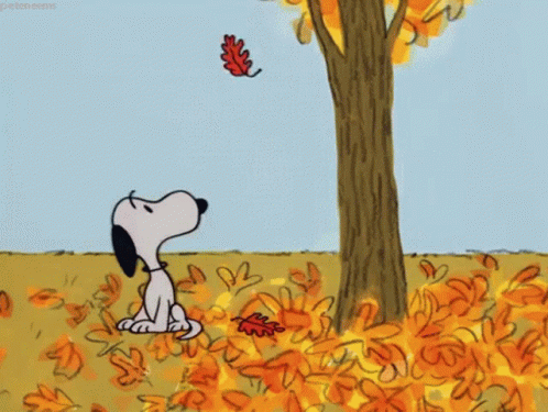 Snoopy Fall GIF - Snoopy Fall Falling Leaves GIFs