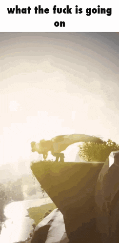 a picture of a dinosaur on a cliff with the words " what the fuck is going on " below it