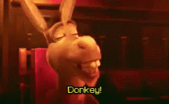 Donkey Shrek GIF - Donkey Shrek GIFs