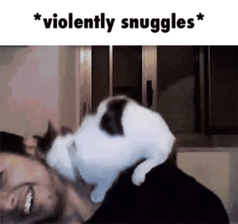 a cat is laying on a man 's shoulder and licking him .