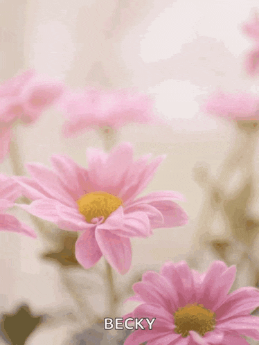 a happy mother 's day card with pink flowers and the name becky