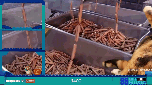 a screen shows a cat and a dog in front of a tray of chocolate sticks