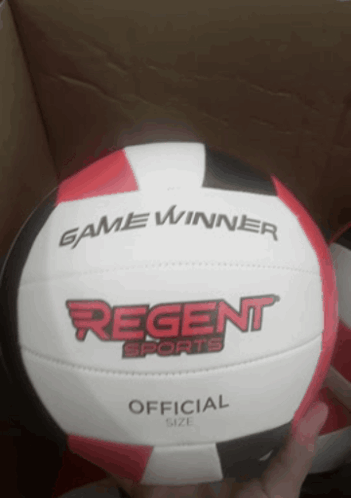 Volleyball Regent Sports GIF - Volleyball Regent Sports Sports Ball GIFs