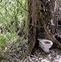 Toilet In The Woods GIF - Toilet In The Woods GIFs