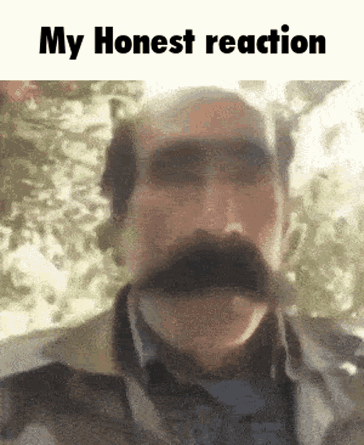 My Honest Reaction My Honest Reaction Meme GIF - My Honest Reaction My Honest Reaction Meme My Honest Reaction To That Information GIFs