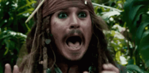 Ahh Shouting GIF - Ahh Shouting Pirates Of The Caribbean GIFs