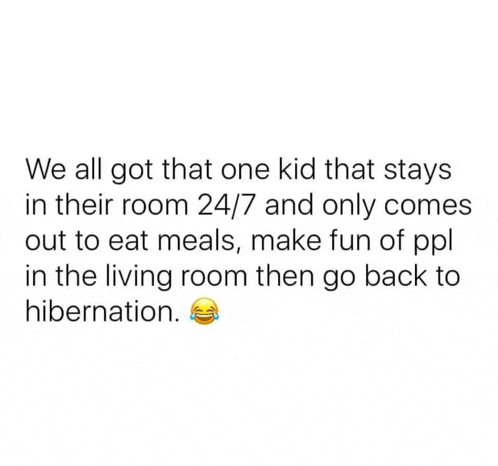 we all got that one kid that stays in their room 24 / 7 and only comes out to eat meals , make fun of ppl in