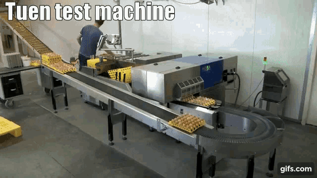 a conveyor belt with eggs on it and the words tuen test machine