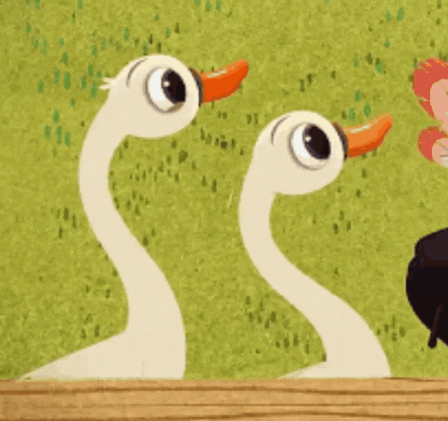 two ducks with long necks are standing next to each other in a field