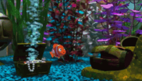 Bubbles Finding Nemo GIF - Bubbles Finding Nemo Pixar GIFs