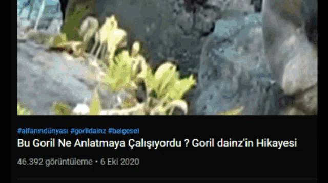 a blurred image of a rocky area with a caption that says goril ne anlatmaya