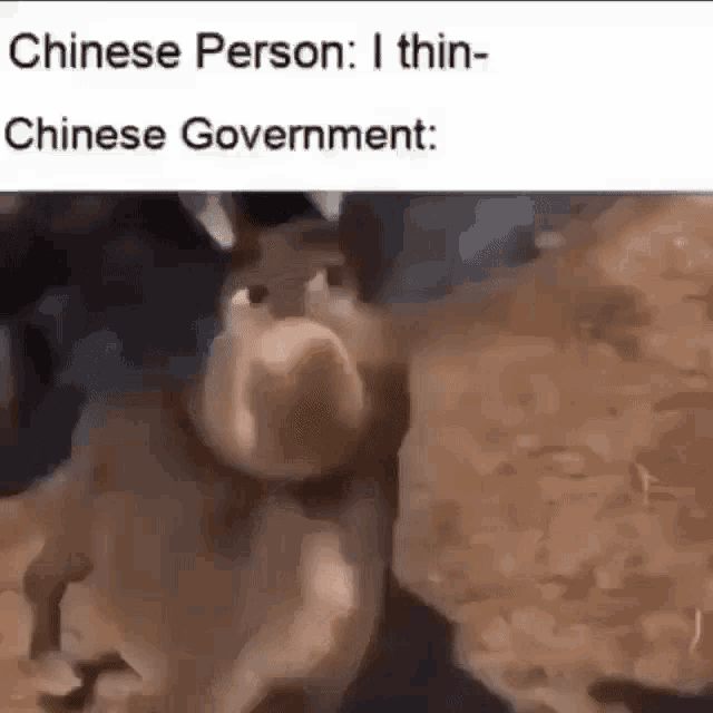 a chinese person : i thin- chinese government : a rabbit with a big nose .