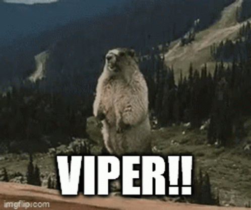 Viper Beaver GIF - Viper Beaver GIFs