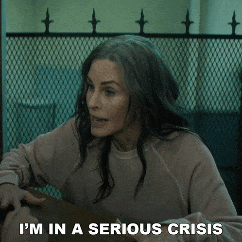I'M In A Serious Crisis Pat GIF - I'M In A Serious Crisis Pat Patricia Phelps GIFs