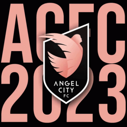 Acfc Angelcity GIF