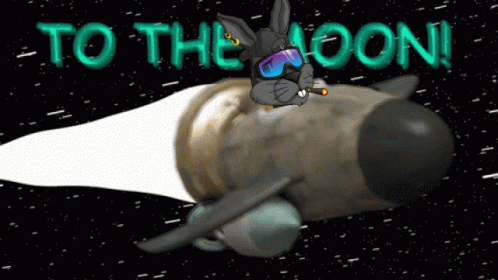 Bunnies To The Moon Bunnies N Homies GIF - Bunnies To The Moon Bunnies N Homies Bunnies N Homies To The Moon GIFs