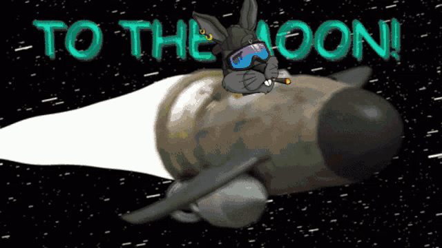 a cartoon of a rabbit smoking a cigarette on a rocket with the words to the moon in the background