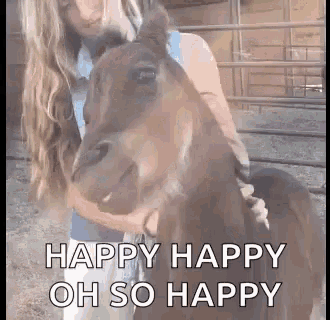 Horse Laugh Happy Horse GIF - Horse Laugh Happy Horse Horse GIFs