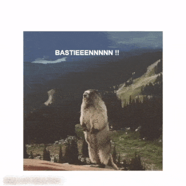 Marmotte Bastien GIF