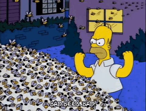 Simpsons Sugar GIF