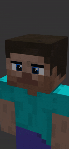 a close up of a minecraft character 's face
