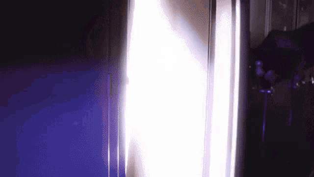 K State Kansas State GIF