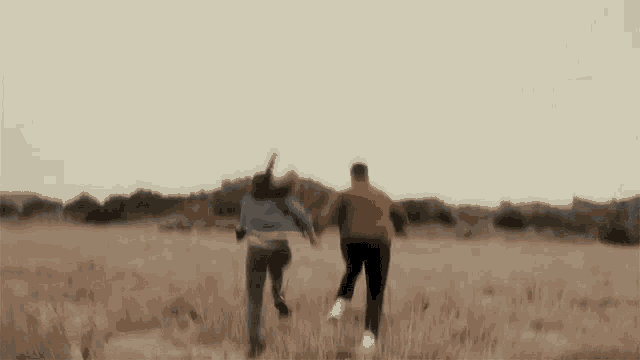 a man and a woman are running across a field holding hands .