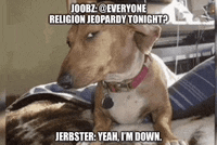 a dog is sitting on top of another dog with a caption that says " everyone religion jeopardy tonight