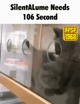 a gif that says silenta lume needs 106 seconds