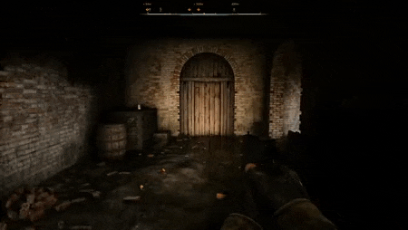 a person holding a gun in front of a wooden door in a dark room