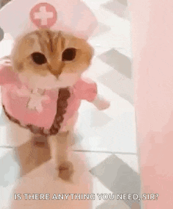 a cat dressed as a nurse is standing next to a wall .