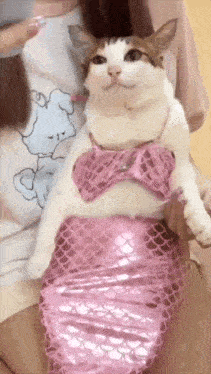 a woman is holding a cat in a pink mermaid costume .