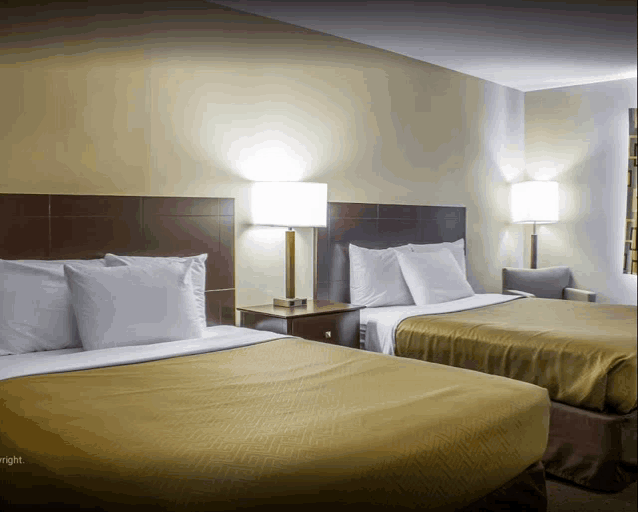 a hotel room with two beds and a lamp on the night stand