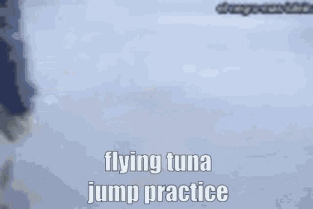 a picture of a flying tuna jump practice with a blue background