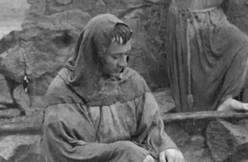 The Flowers Of St Francis Facepalm GIF