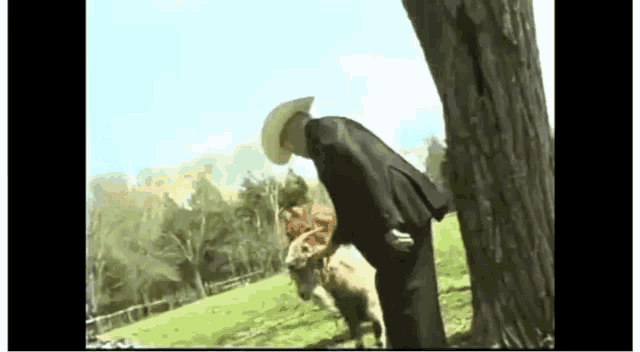 a man in a cowboy hat is standing next to a cow in a field