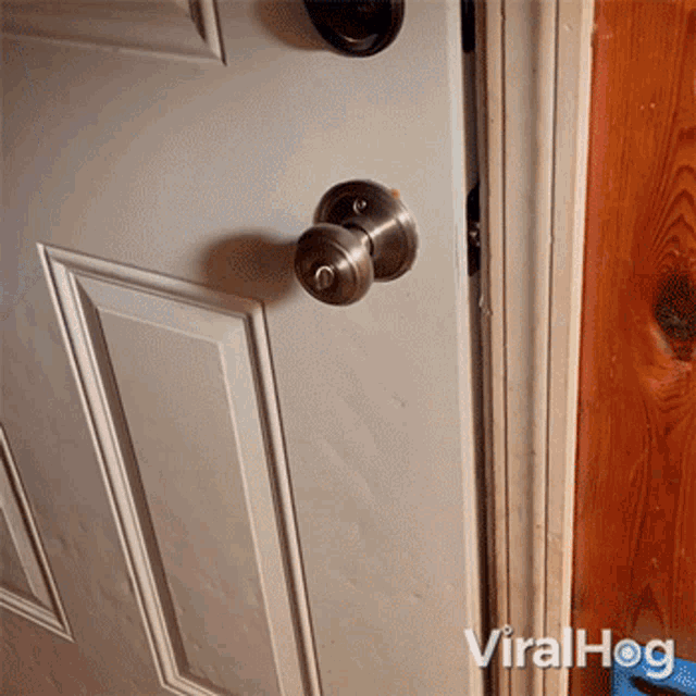 Opening The Door Viralhog GIF - Opening The Door Viralhog Im Here GIFs