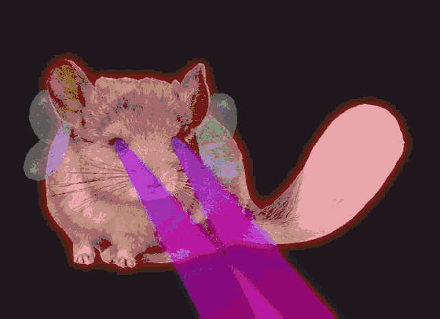 a person is holding a chinchilla with wings on its ears