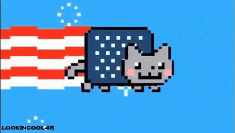 Nyan GIF - 4thofjuly Independenceday America GIFs
