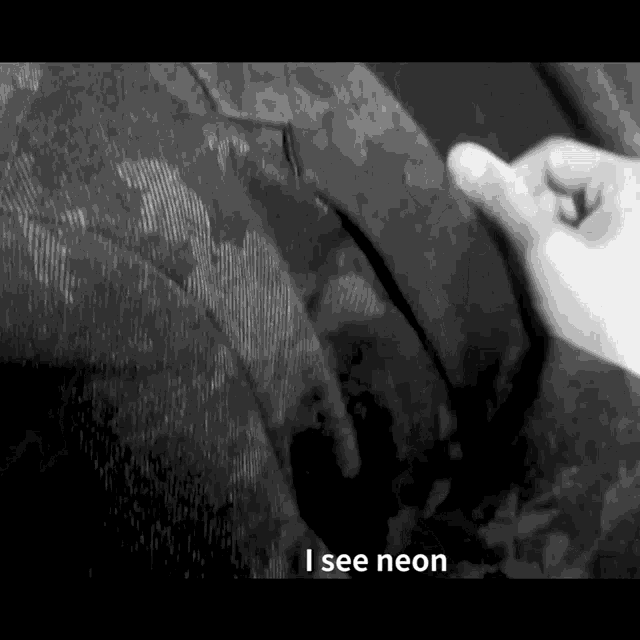 Neon Amberliu GIF
