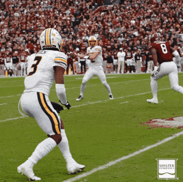 a football player with the number 3 on his jersey stands on the field