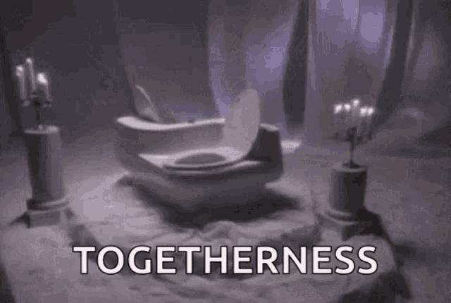 toilet-bowl-togetherness.gif