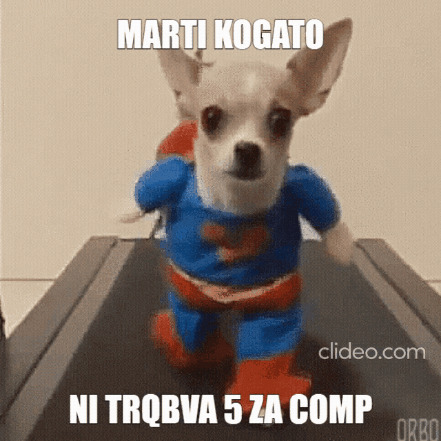 a small dog is running on a treadmill with the caption marti kogato ni trobva 5 za comp