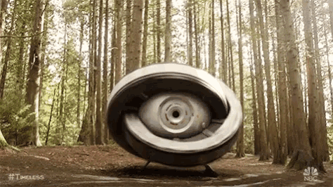 a large eye shaped object is sitting in the middle of a forest .