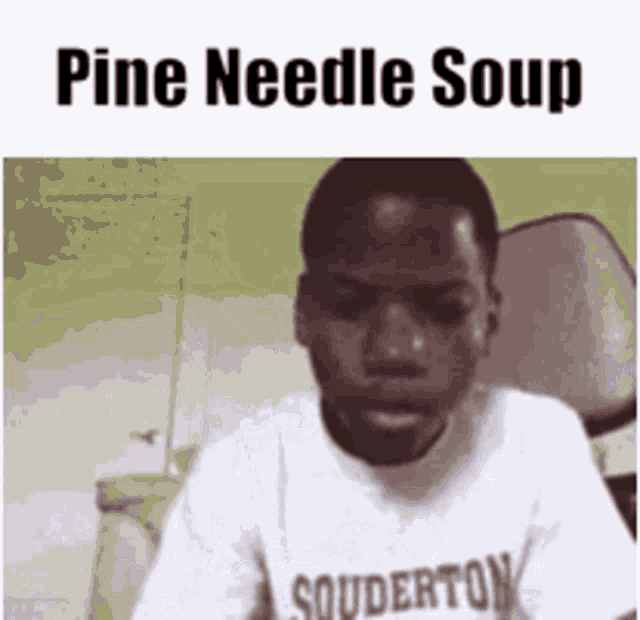 Pine Needle Soup GIF - Pine Needle Soup Soup Pine GIFs