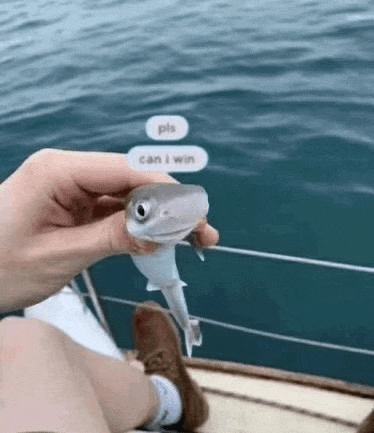 a person is holding a small shark in their hand .