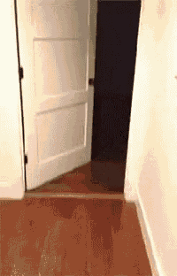 a door is open in a hallway with a wooden floor