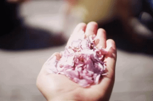 Hand Floral GIF - Hand Floral Petals GIFs