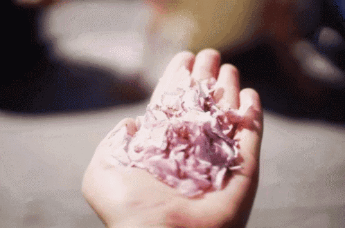 a person is holding a handful of purple petals in their hand .