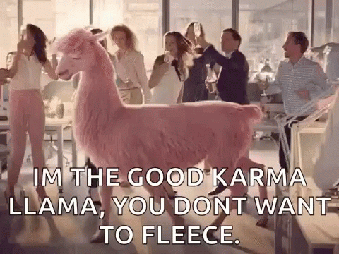 Llama Dance GIF - Llama Dance Julesmumm GIFs